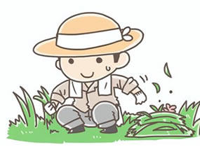 草むしりボランティア