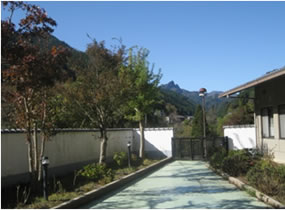 庭木手入れボランティア